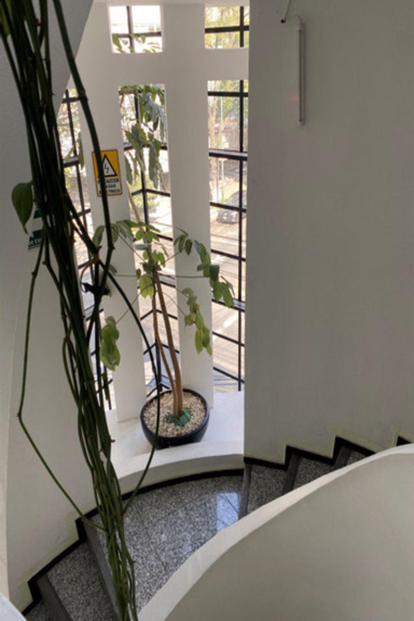 Flowsuites Polanco Mexico by Eksteriør bilde
